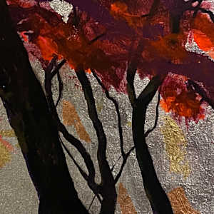 acer palmatum by gaby roter 
