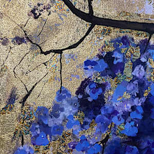 jacaranda by gaby roter 