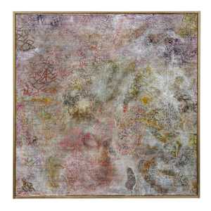 The Vanishing Place by Carla Taylor, Image 1.