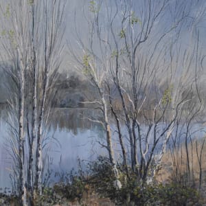 Nepean Birches by Bert MORIARTY