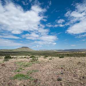 West Texas View by Billy Moore, Image 1.