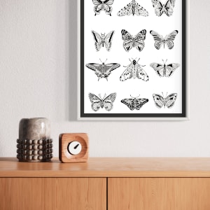 Lepidoptera by Rising Moon Studio  Image: Installation photo