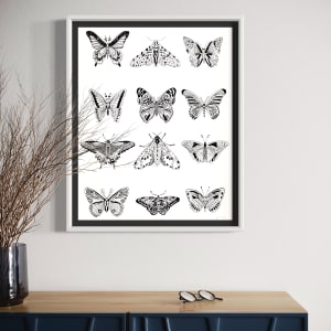 Lepidoptera by Rising Moon Studio 