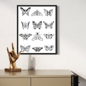 Lepidoptera by Rising Moon Studio 