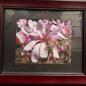 Magnolia by Lou H