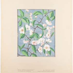 Wild Apple Blossom by Willy Lang