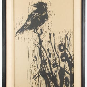 Bobolink by Douglas Johnson