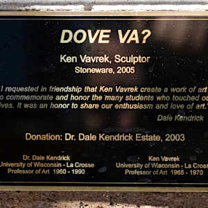 Dove Ya? by Ken Vavrek 