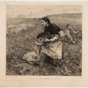 La Recolte des Pommes de Terre by Felix Bracquemond
