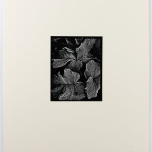 Untitled California by Oliver Gagliani