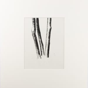 Untitled by Harry Callahan