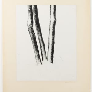 Untitled by Harry Callahan  Image: Harry Callahan, Untitled