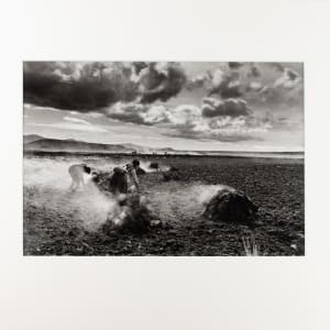Workers in the Field by Sebastio Salgado