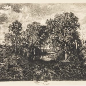 Une mare -- Foret de Fontainebleau (A Pond, at Fontainebleau) by Theophile-Narcisse Chauvel  Image: Theophile-Narcisse Chauvel, Une mare -- Foret de Fontainebleau (A Pond, at Fontainebleau), 1874