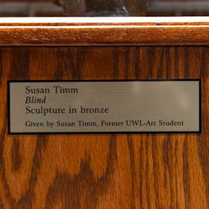 Blind by Susan Timm 