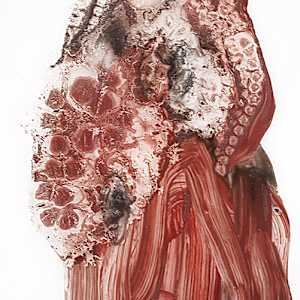 Rock 17 by Sarah Jerome