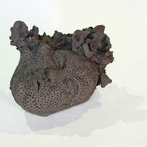 Pensée 12 by Sarah Jerome