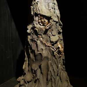 Femme montagne noire 3 by Sarah Jerome