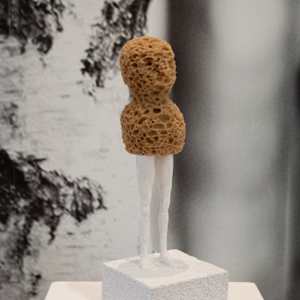 Carry the load  - sponge by Bernet Ragetli