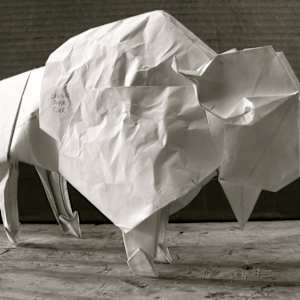 White Bison SOLD OUT by Kevin Box Studio, Image 5.