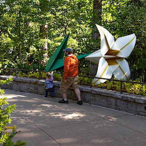 Consider the Lily (w/stem) by Kevin Box Studio, Image 4.