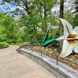 Consider the Lily (w/stem) by Kevin Box Studio, Image 3.