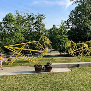 Crease Canaries (triptych) by Kevin Box Studio, Image 3.