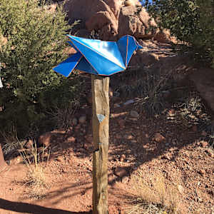 Blue Bird by Kevin Box Studio, Image 4.