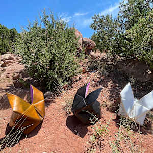 Best Bunny by Kevin Box Studio 