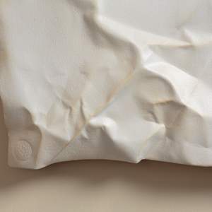 Chaos & Consciousness by Kevin Box Studio 