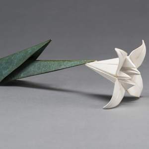 Consider the Lily mini by Kevin Box Studio 