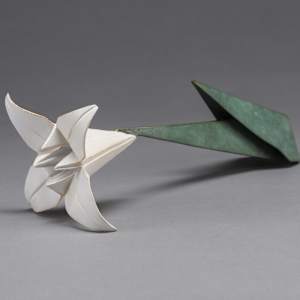 Consider the Lily mini by Kevin Box Studio 