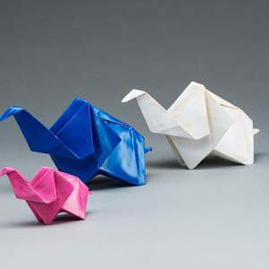 Tembo by Kevin Box Studio 