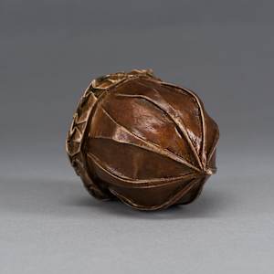 Seed by Kevin Box Studio 