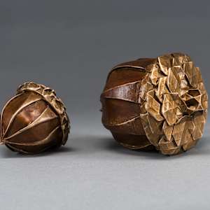 Seed by Kevin Box Studio 