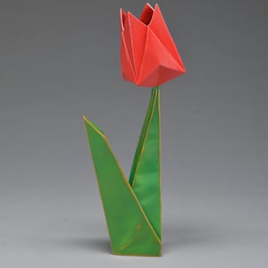 Perennial Present by Kevin Box Studio