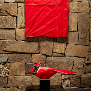Cardinal Unfolded by Kevin Box Studio