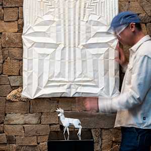 Buck Skin, Deer Unfolded, opus 787 by Kevin Box Studio
