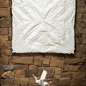 Dancing Crane Unfolded, opus 460 by Kevin Box Studio 