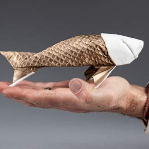Folded Fish by Kevin Box Studio, Image 2.
