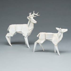 Ghost Deer by Kevin Box Studio 