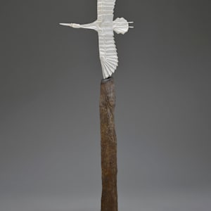 Flying Peace by Kevin Box Studio 