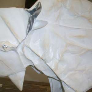 White Bison SOLD OUT by Kevin Box Studio, Image 4.