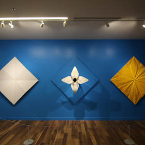 Consider the Lily by Kevin Box Studio, Image 3.