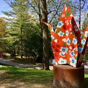 Blooming Stars by Kevin Box Studio, Image 3.