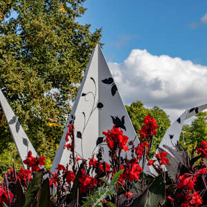 Botanical Peace by Kevin Box Studio  Image: Dow Gardens 2019