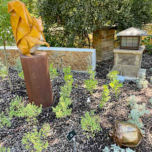 Seed Sower and Seed garden-size by Kevin Box Studio, Image 6.