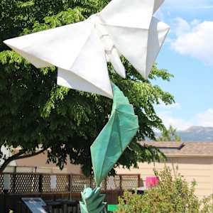 Emerging Peace by Kevin Box Studio 