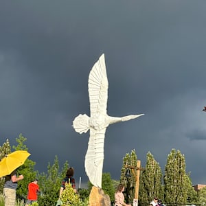 Flying Folds by Kevin Box Studio 