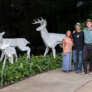 Dear Family by Kevin Box Studio 